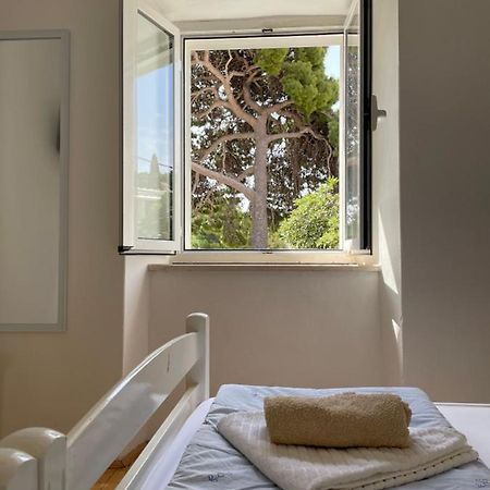 Ferienwohnung Tree Dubrovnik Exterior foto